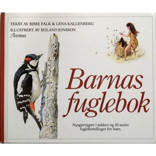 Barnas fuglebok - brukte bøker av Bisse Falk og Lena Kalleberg