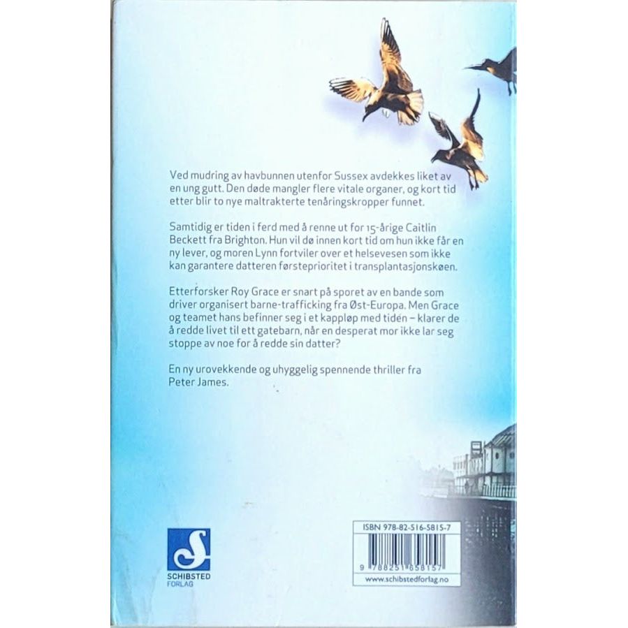 James, Peter: Roy Grace 5 - Død i morgen