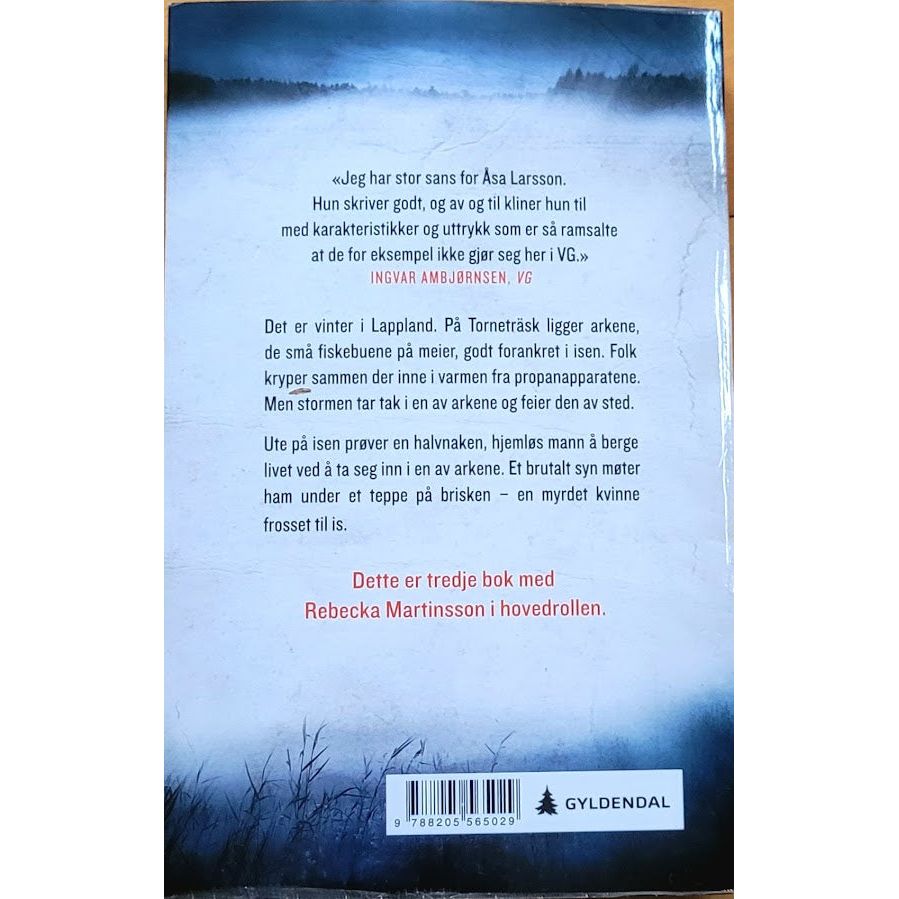 Larsson, Åsa: Rebecka Martinsson (3) Svart sti