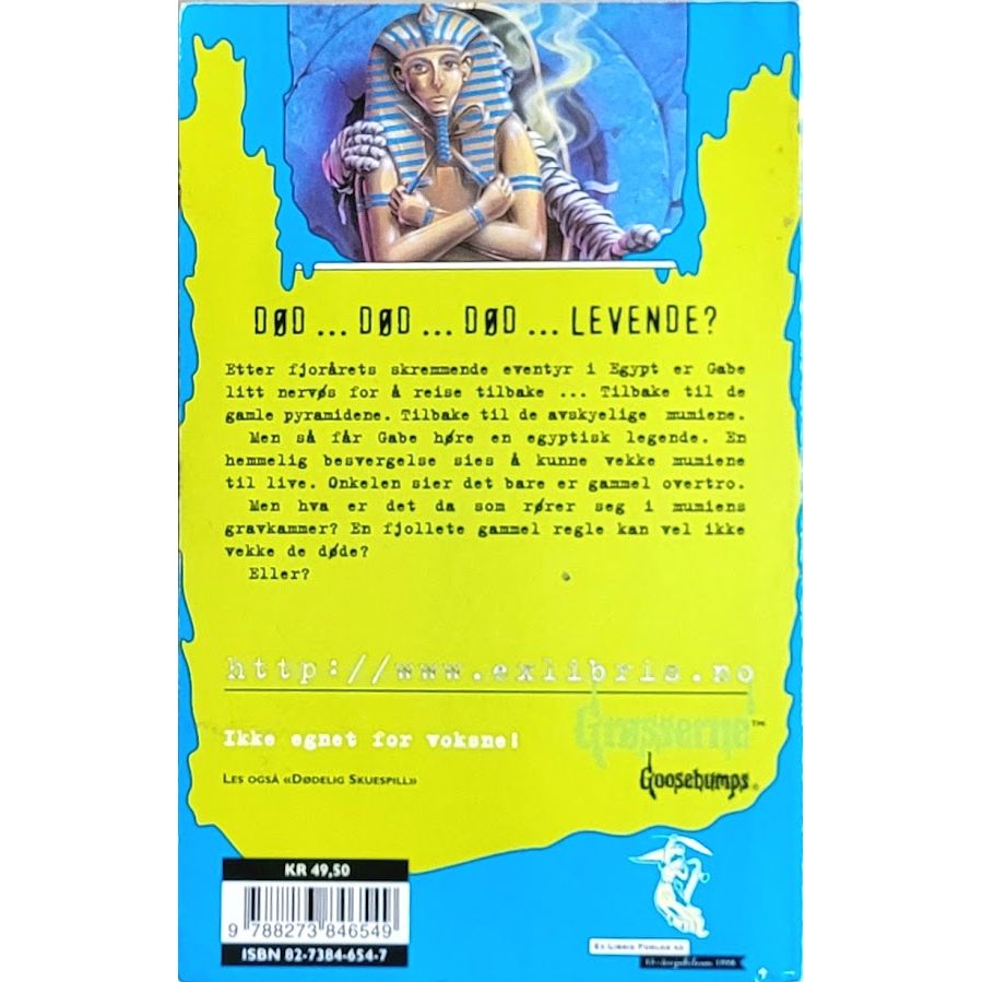 Stine, R.L.: Grøsserne 23 - Mumien vender tilbake