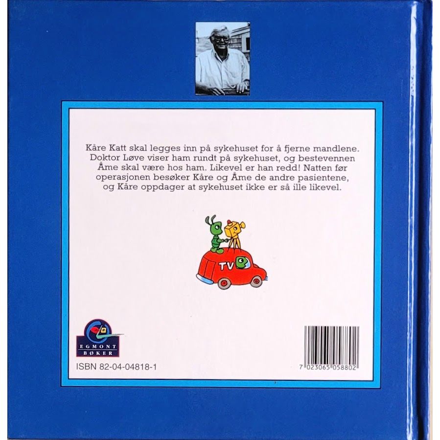 Richard Scarry's Travelby: En stor operasjon