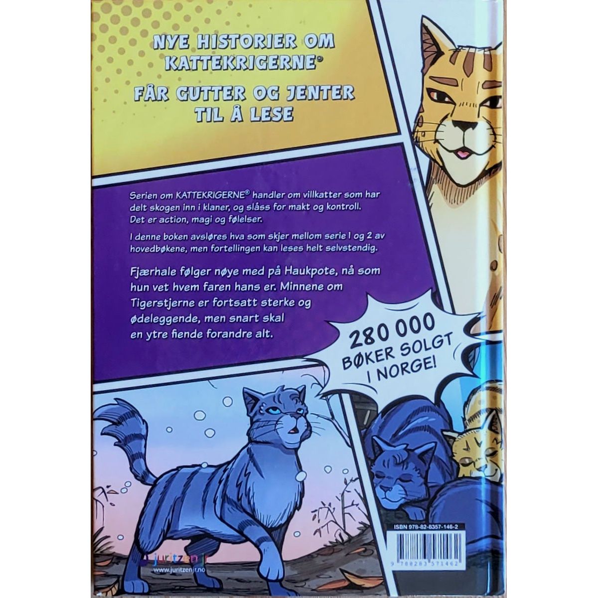 Hunter, Erin: En skygge i Elveklanen 3 - Nye fiender - Kattekrigerne tegneserie 4-3