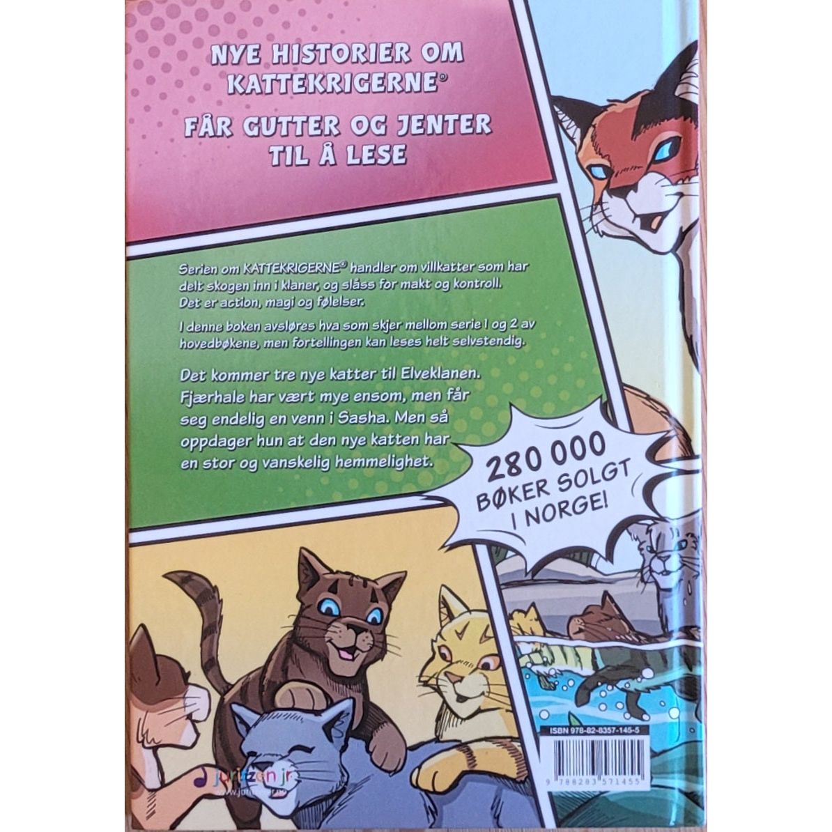 Hunter, Erin: En skygge i Elveklanen 2 - Sashas hemmelighet - Kattekrigerne tegneserie 4-2