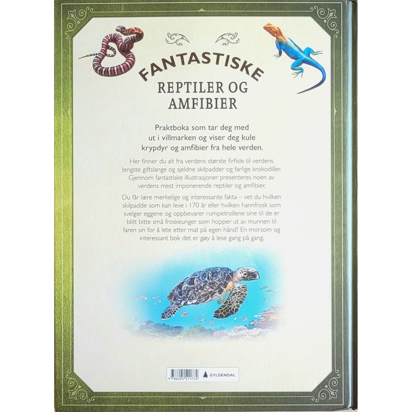 Jackson, Tom: Fantastiske reptiler og amfibier