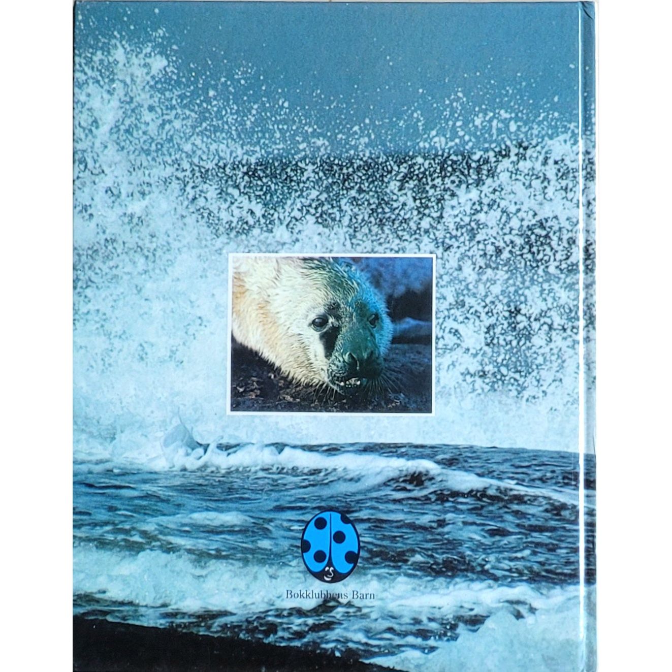 Ugland, Karl Inne: Sommer med selene