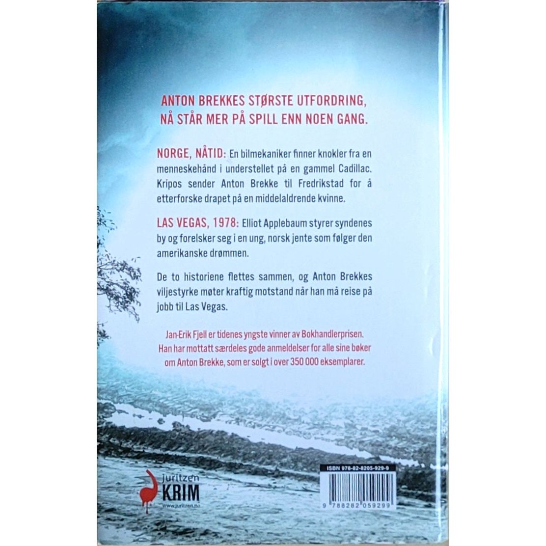 Fjell, Jan-Erik: Anton Brekke 5 - Lykkejegeren