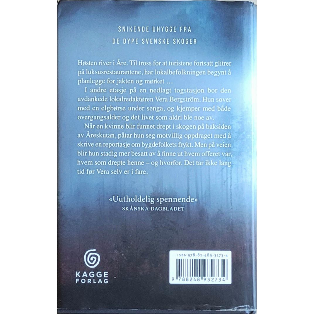 Strömberg, Sara: Vera Bergström 1 - Skygger