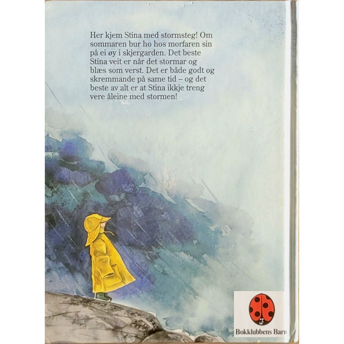 Anderson, Lena: Storm-Stina (nynorsk)