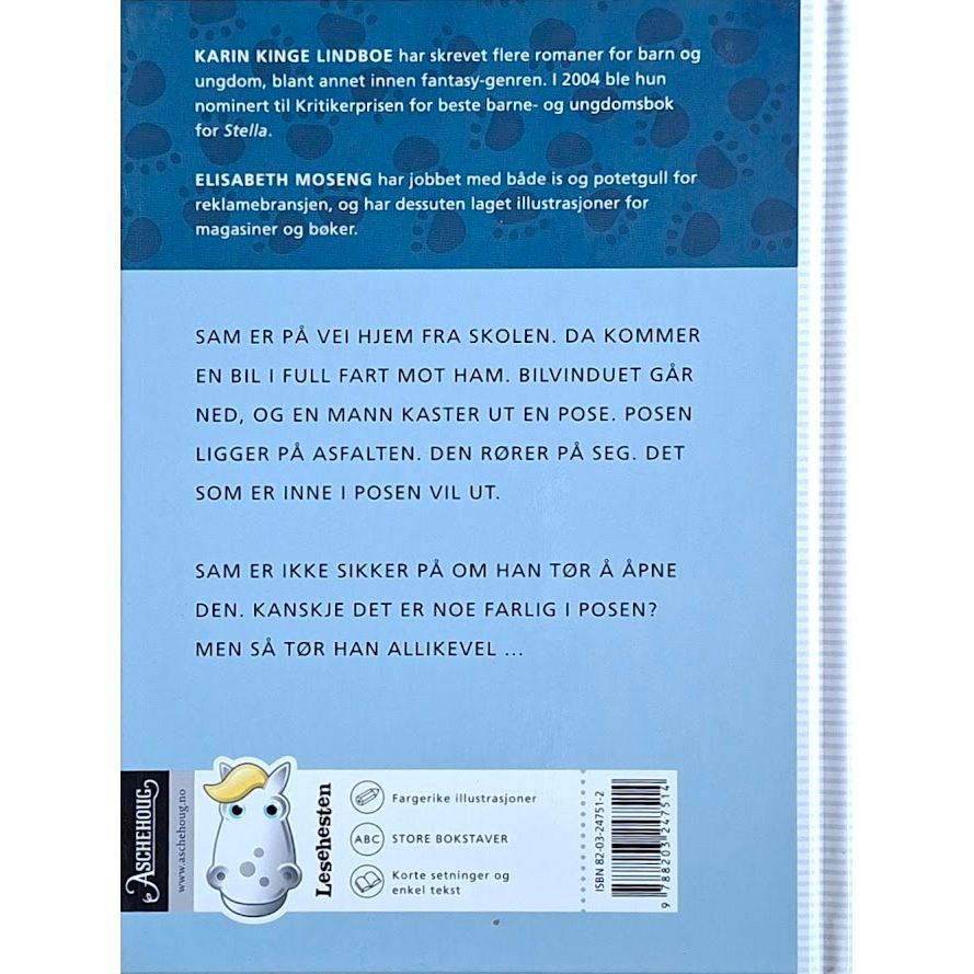 Lindboe, Karin Kinge: Den mystiske Posen