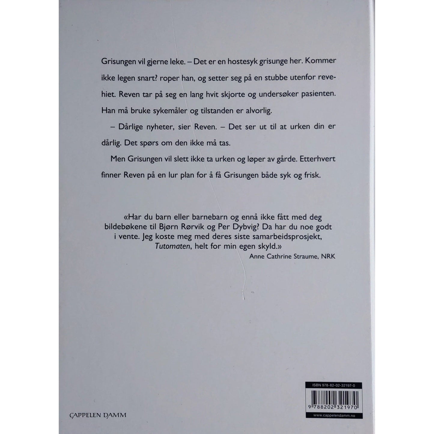 Prikkesyken, brukte bøker av Bjørn F. Rørvik og Per Dybvig