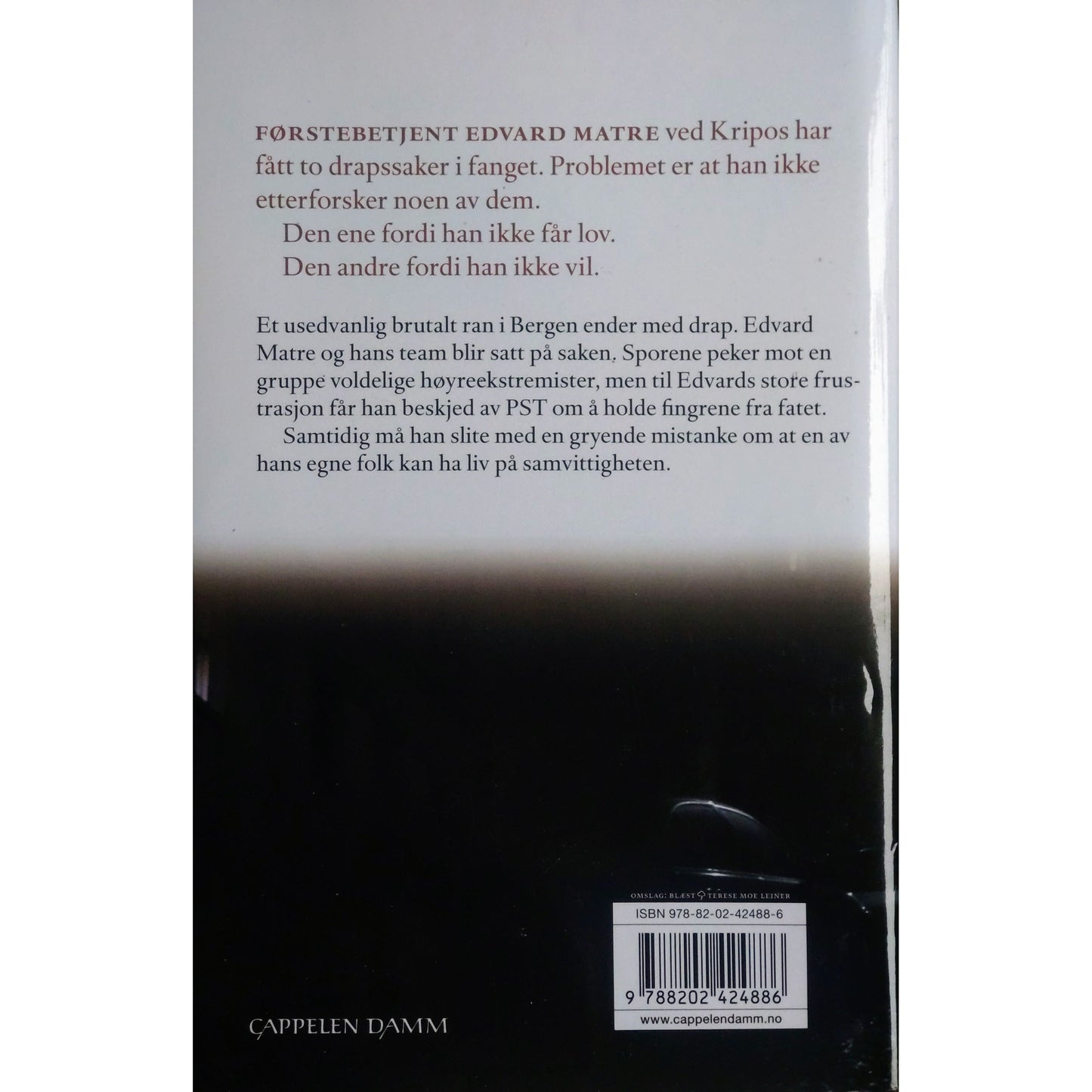 Den blinde guden, brukte bøker av Chris Tvedt og Elisabeth Gulbrandsen