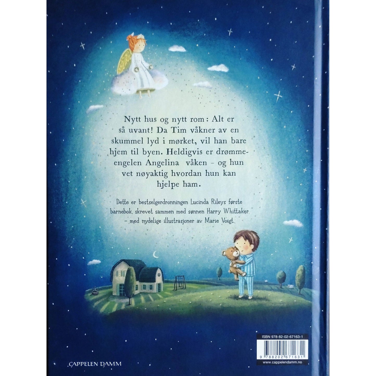 En venn i mørket, brukte bøker av Lucinda Riley og Harry Whittaker