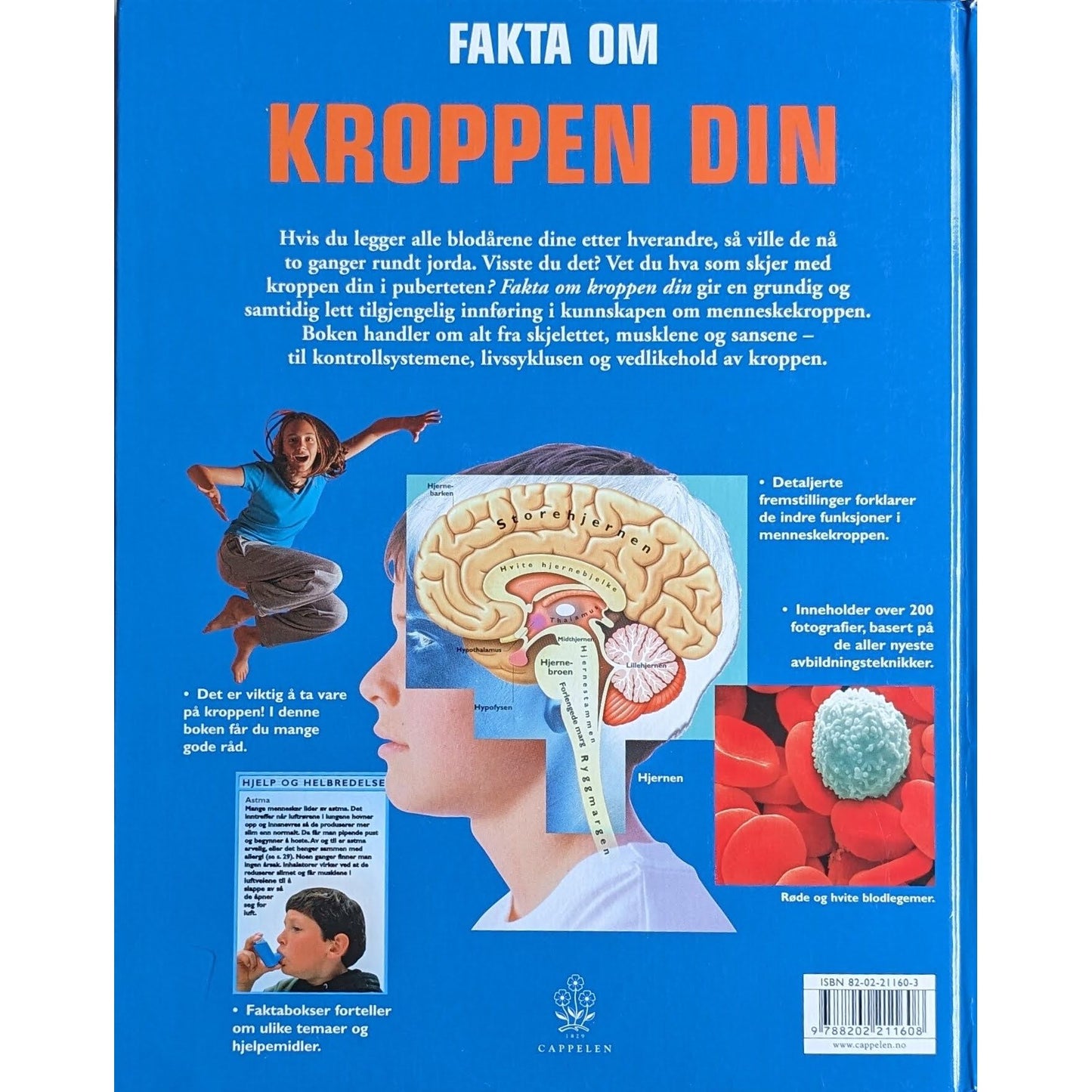 Fakta om kroppen din - Brukte faktabøker av Dr. Naomi Craft