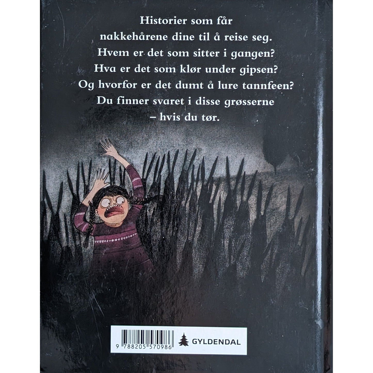 Dukken i gangen og andre skumle historier, brukte bøker av Max Brallier