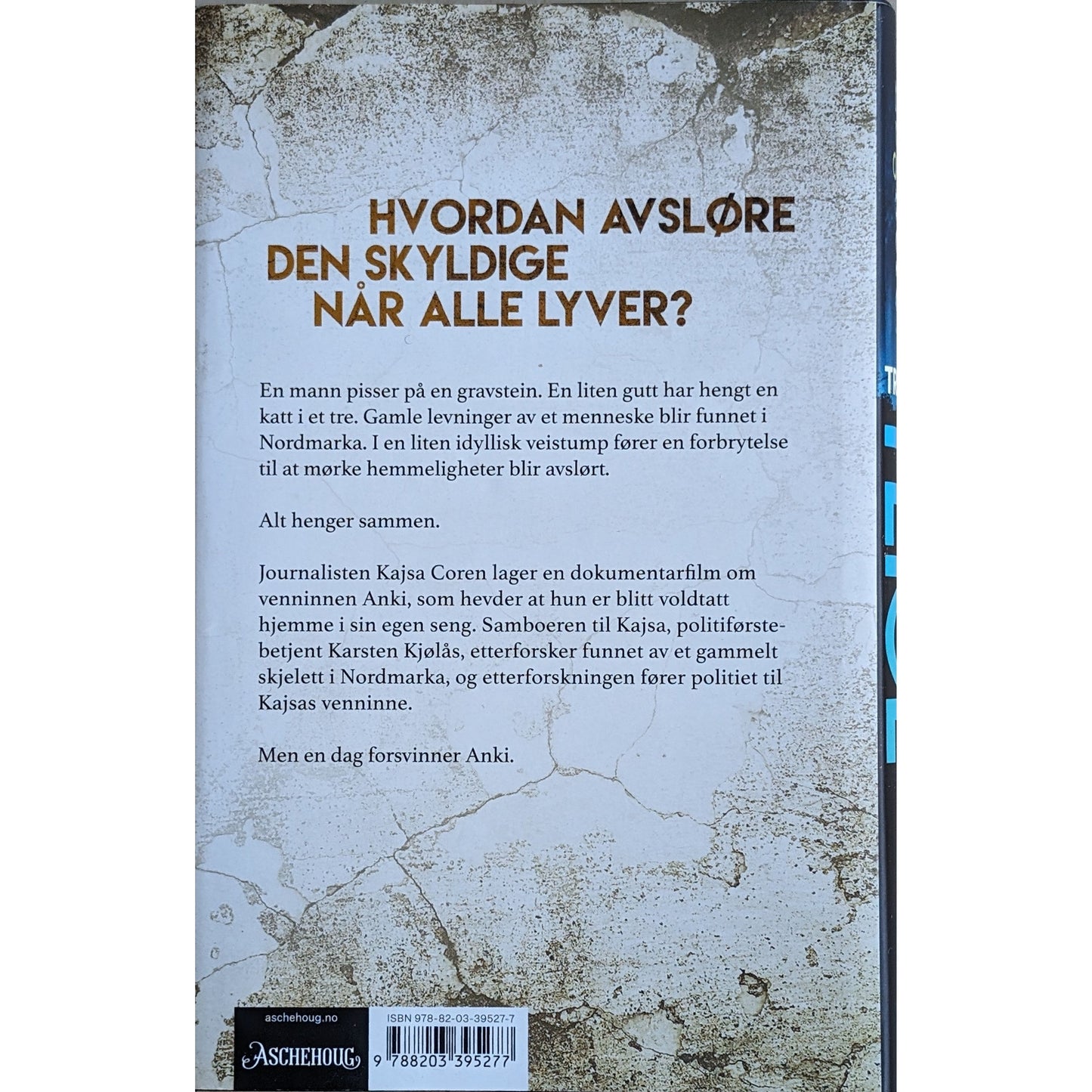 Løgnere, brukte bøker om Kajsa Coren av Trude Teige