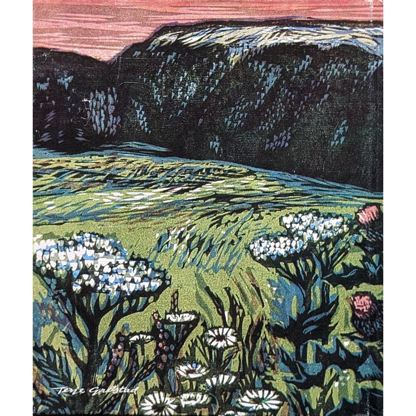 Blomar veks i såret. Brukte bøker av Aasmund Olafsson Vinje. Poesi