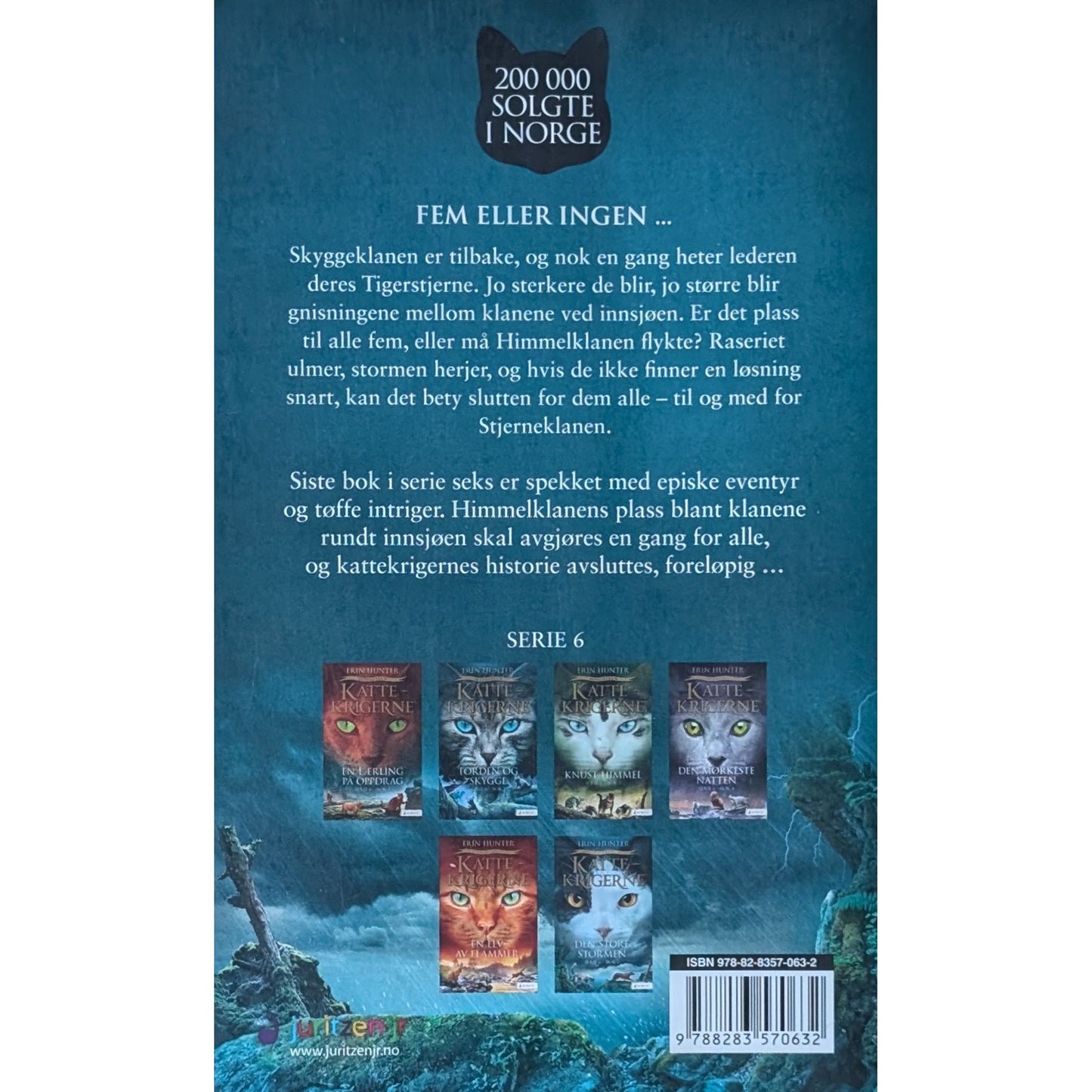 Brukte barnebøker av Erin Hunter: Den store stormen - Kattekrigerne serie 6 - bok 6