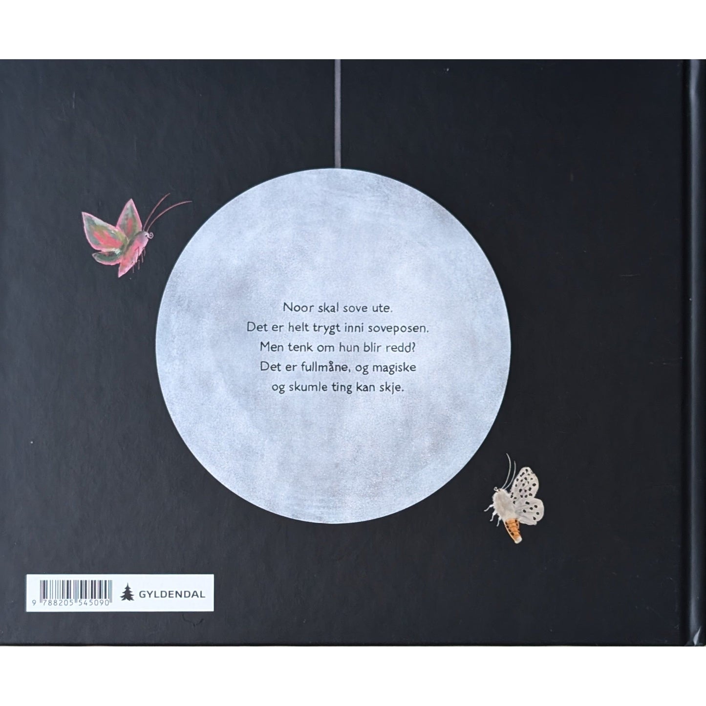 Nattsvermerne. Brukte bøker av Sunniva Sunde Krogseth