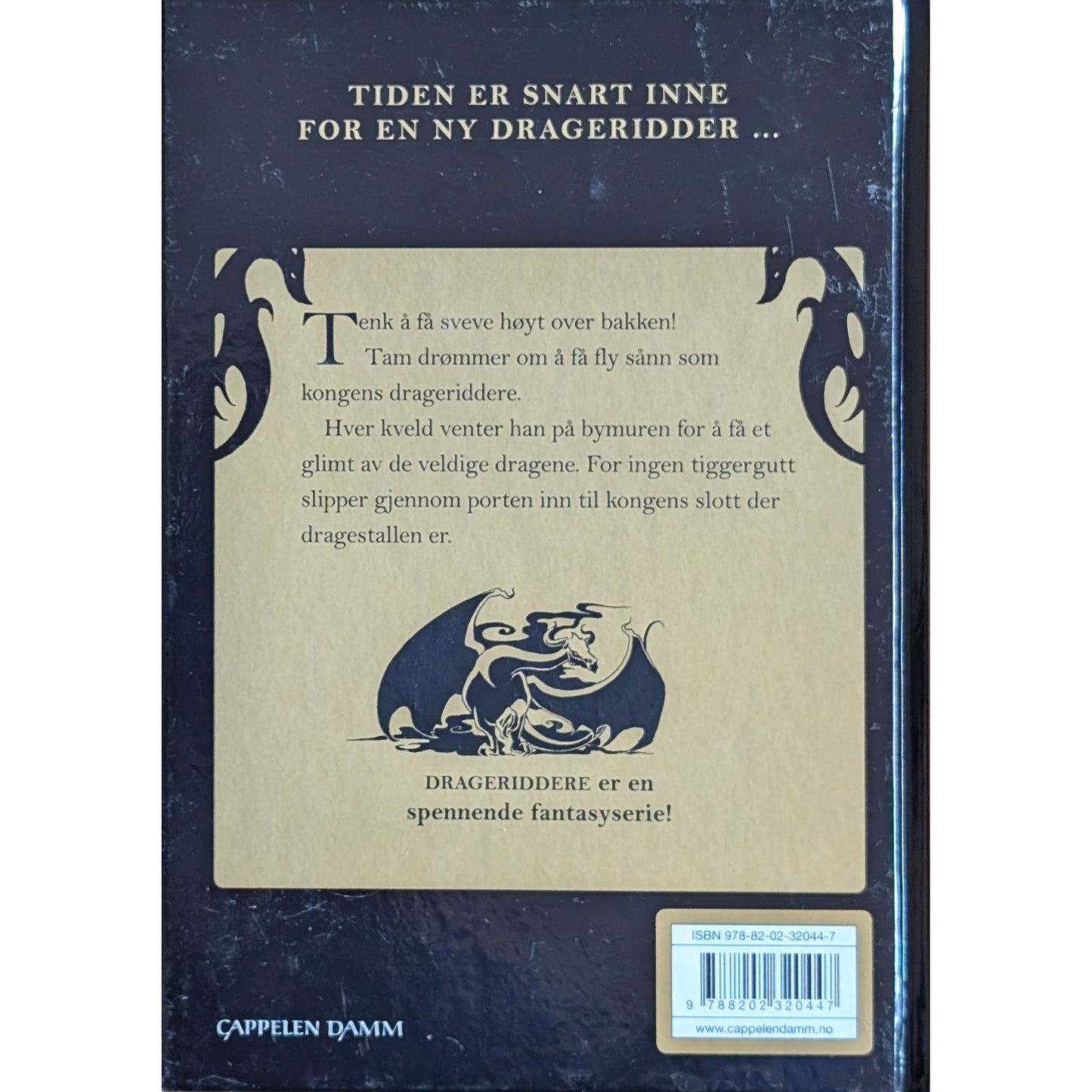 Drageridderne (1) - Tam tiggergutten, brukte bøker av Jo Salmson