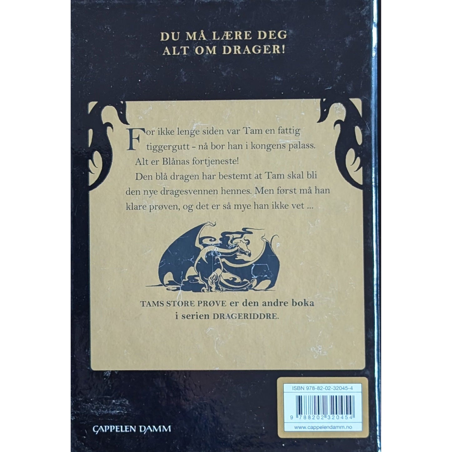 Drageridderne (2) - Tams store prøve, brukte bøker av Jo Salmson