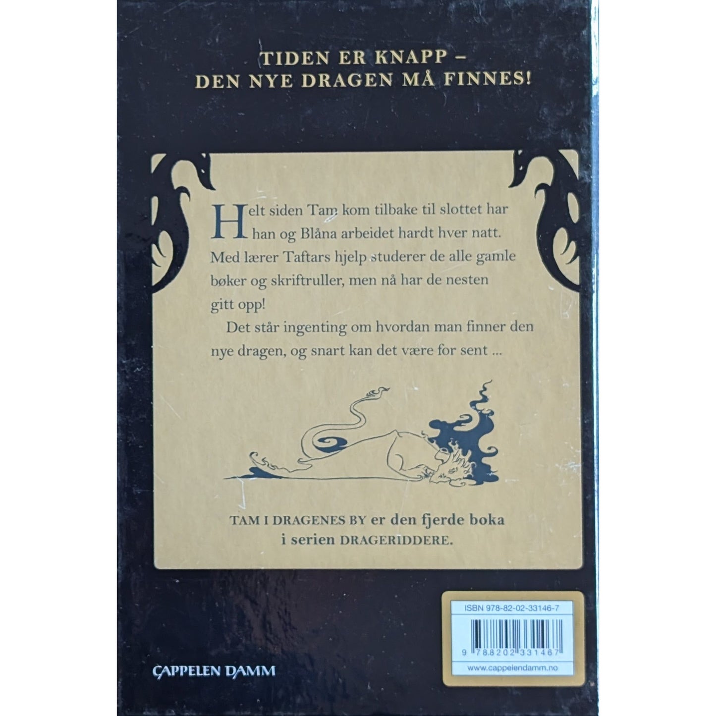 Drageridderne (4) - Tam i dragenes by, brukte bøker av Jo Salmson