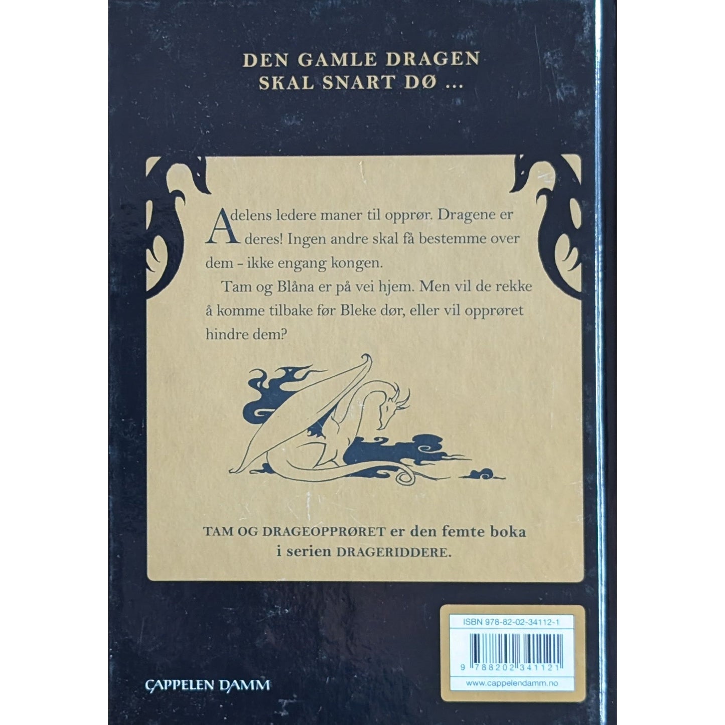 Drageridderne (5) - Tam og drageopprøret, brukte bøker av Jo Salmson