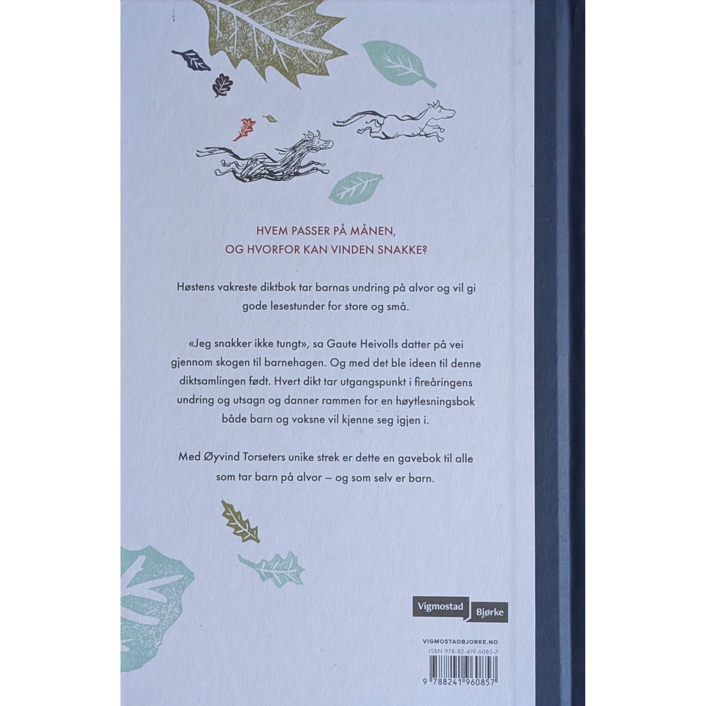 Til slutt blir alle hester - Brukte barnebøker av Gaute Heivoll