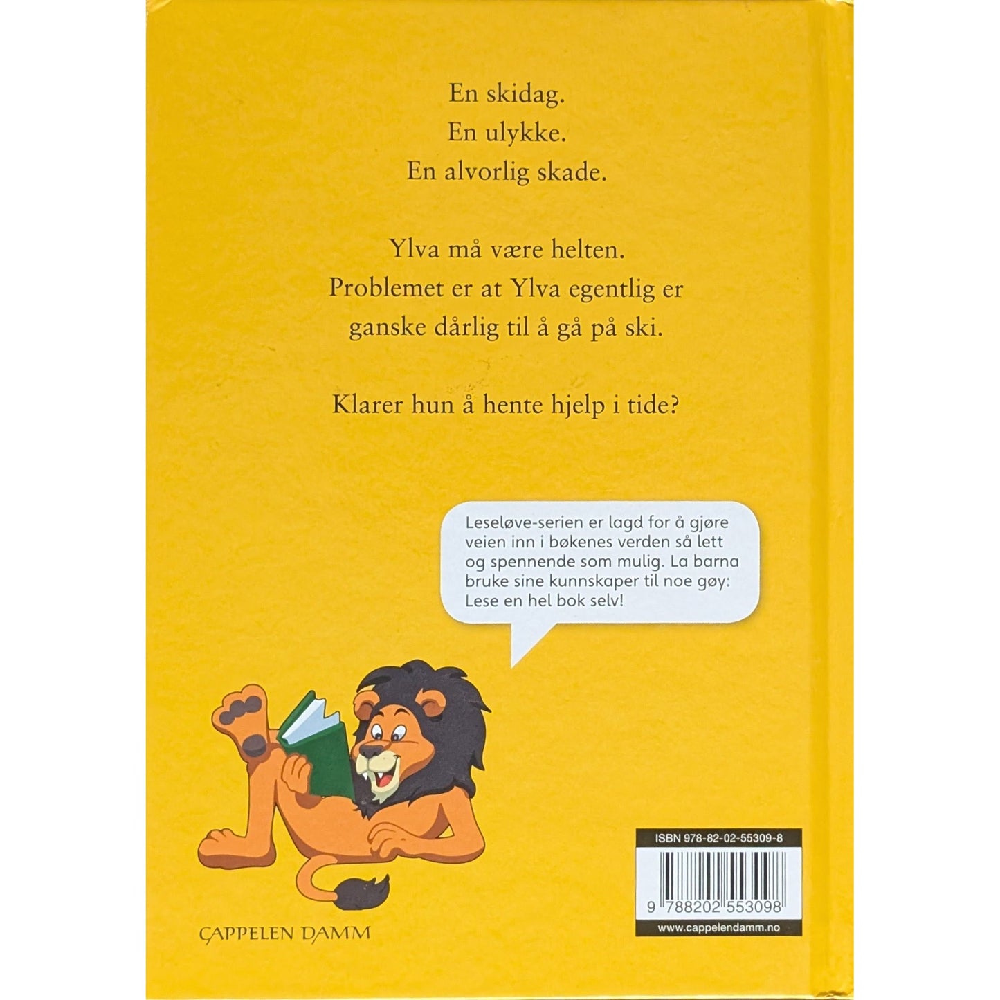 Ylva redder skidagen, brukte bøker av Janne Aasebø Johnsen. Leseløve