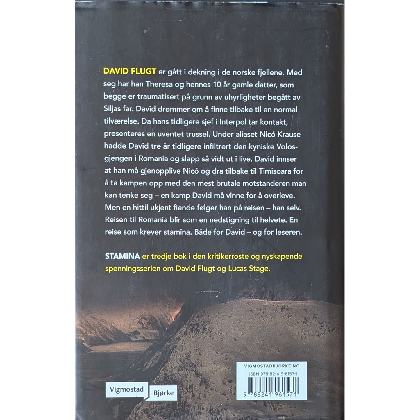 Stamina - Brukte bøker av Thomas Bagger om Task Force 14