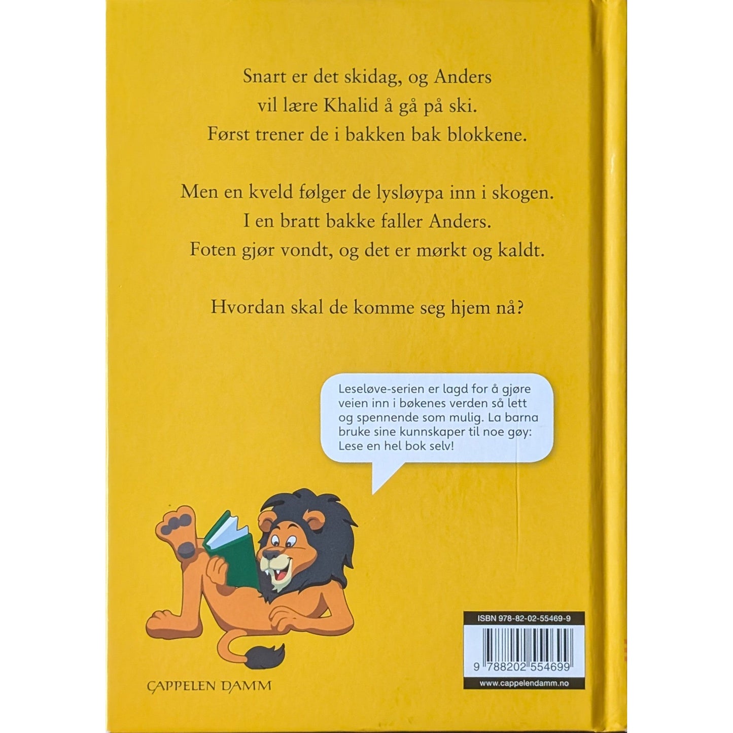 Skituren, brukte bøker av Sidsel Jøranlid. Leseløve