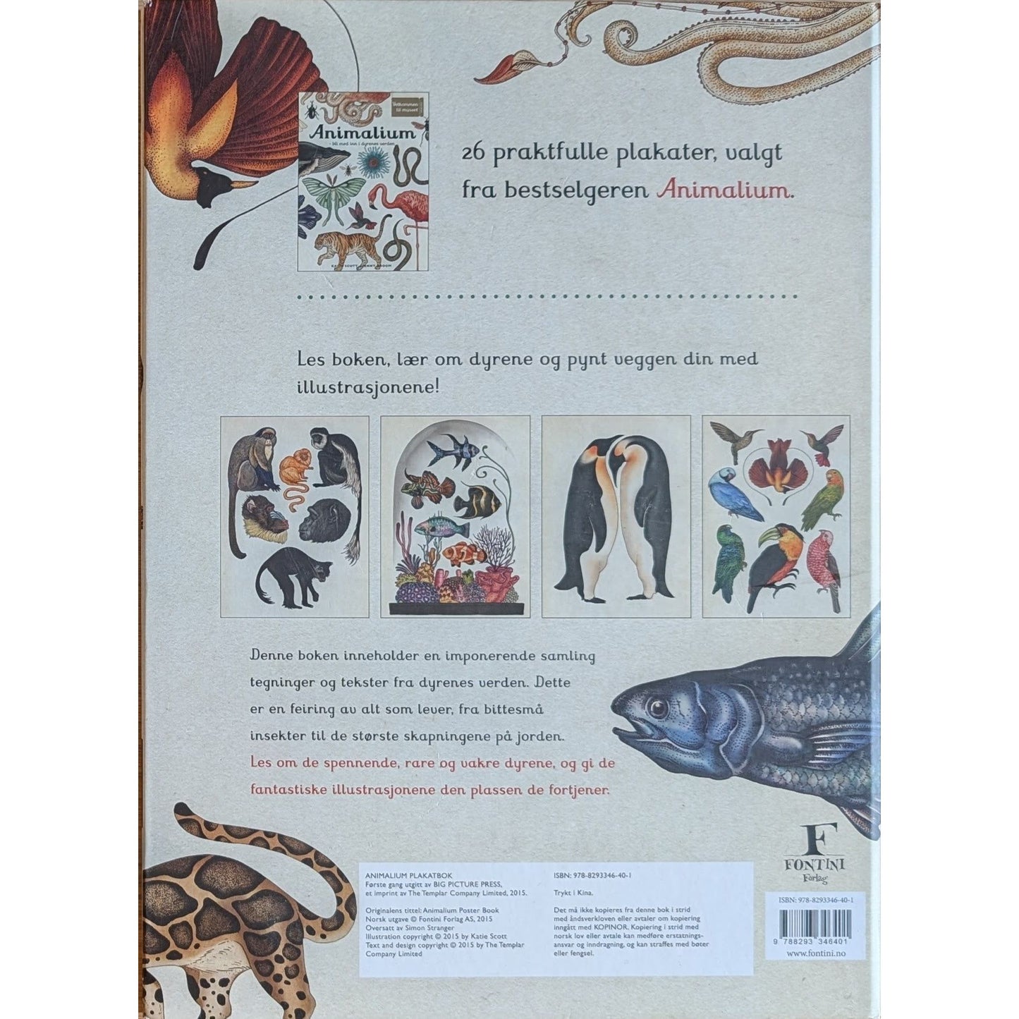 Animalium - Plakatbok, brukte bøker av Katie Scott og Jenny Broom