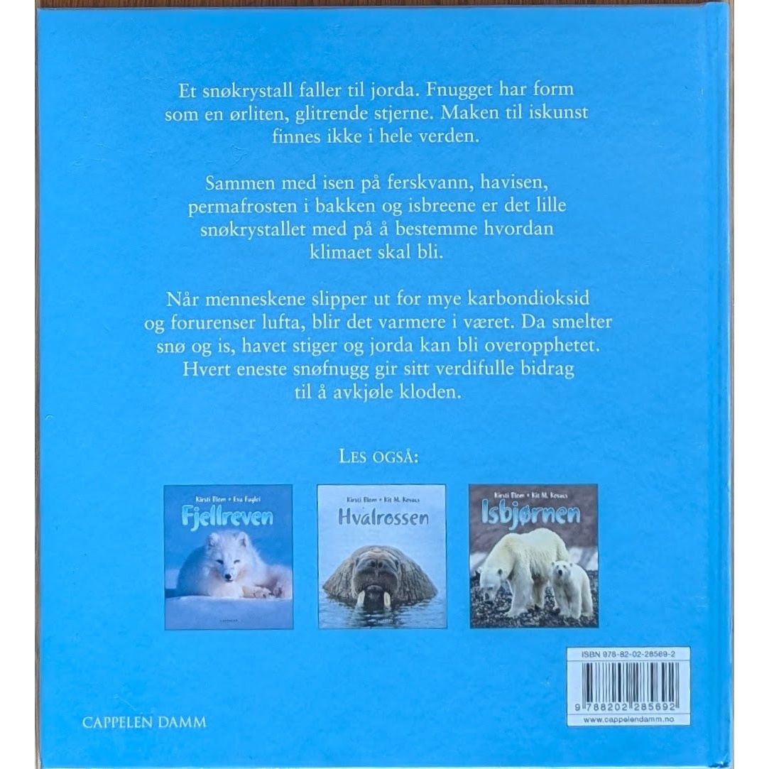 Snø, is og klima, brukte bøker av Kirsti Blom og Jan-Gunnar Winther