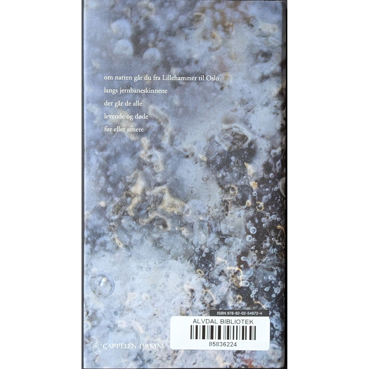 Du bestemmer deg for at dette er et minne, brukte bøker av Marianne Teie. Inventaret bokhandel