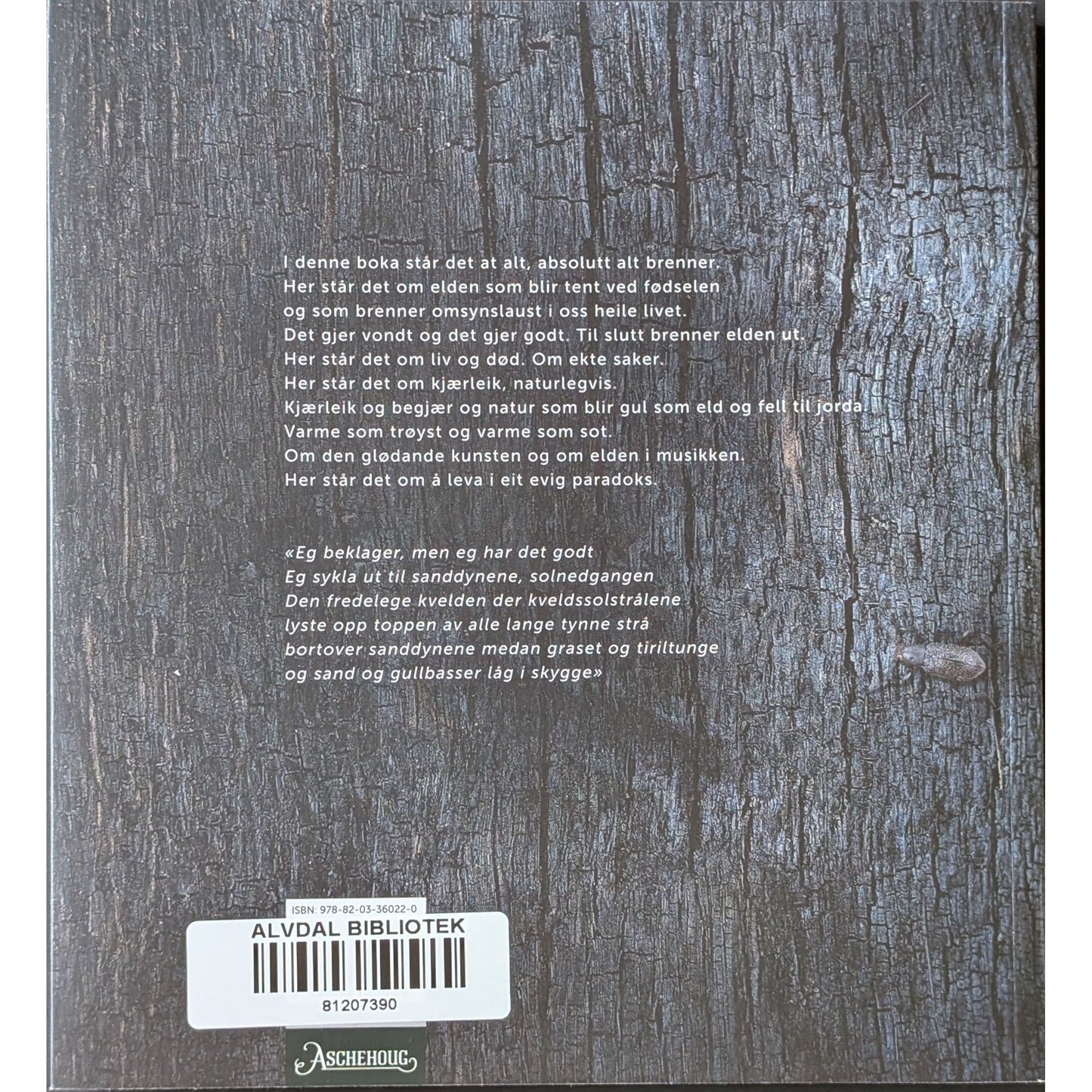 Alt brenner. Brukte bøker av Helge Torvund. Inventaret bokhandel