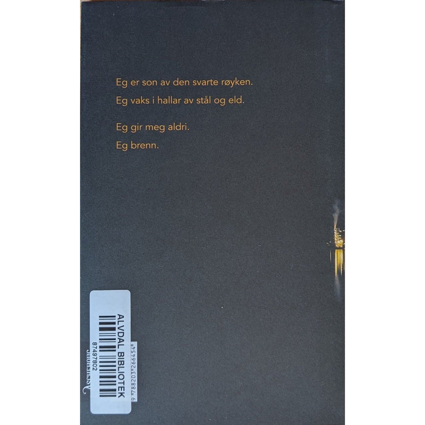 Lyden av stein som flyttar seg under vann. Brukte bøker av Lars Ove Seljestad