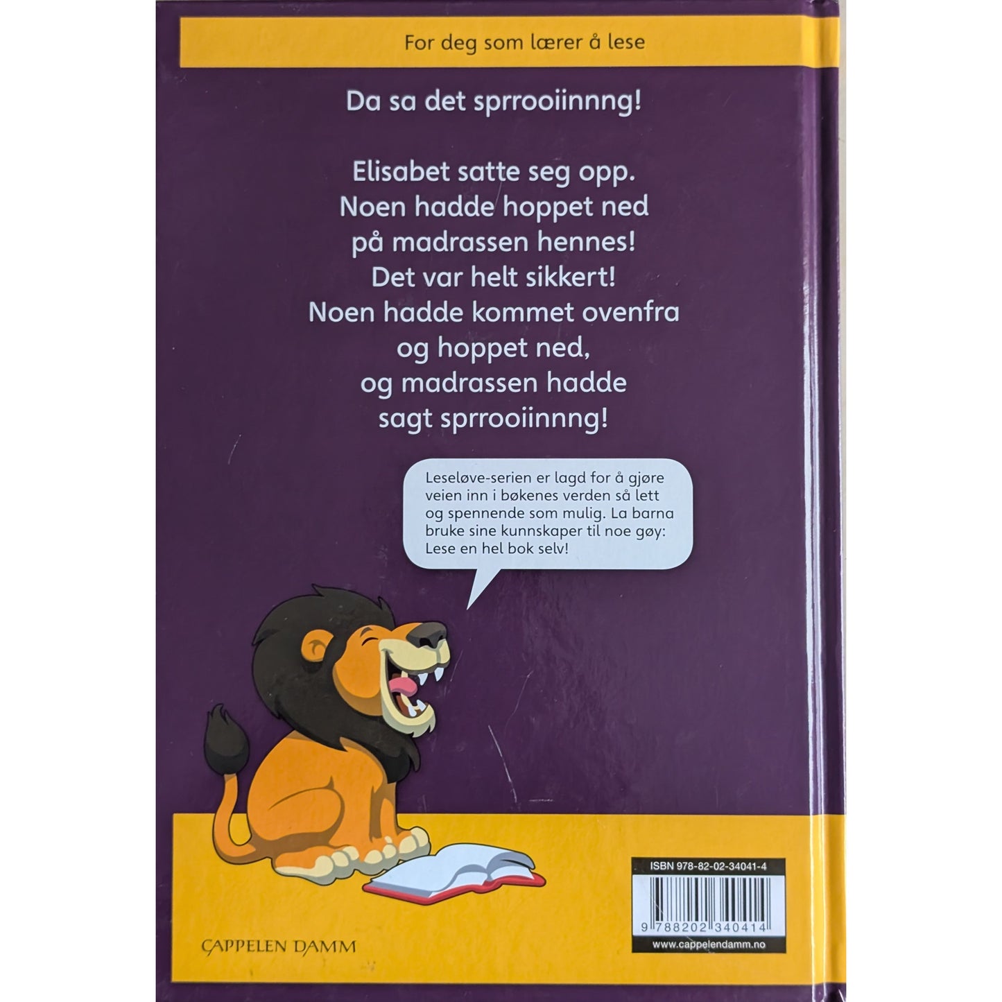 Nattkatten. Brukte Leseløvebøker av Kjersti Scheen hos Inventaret