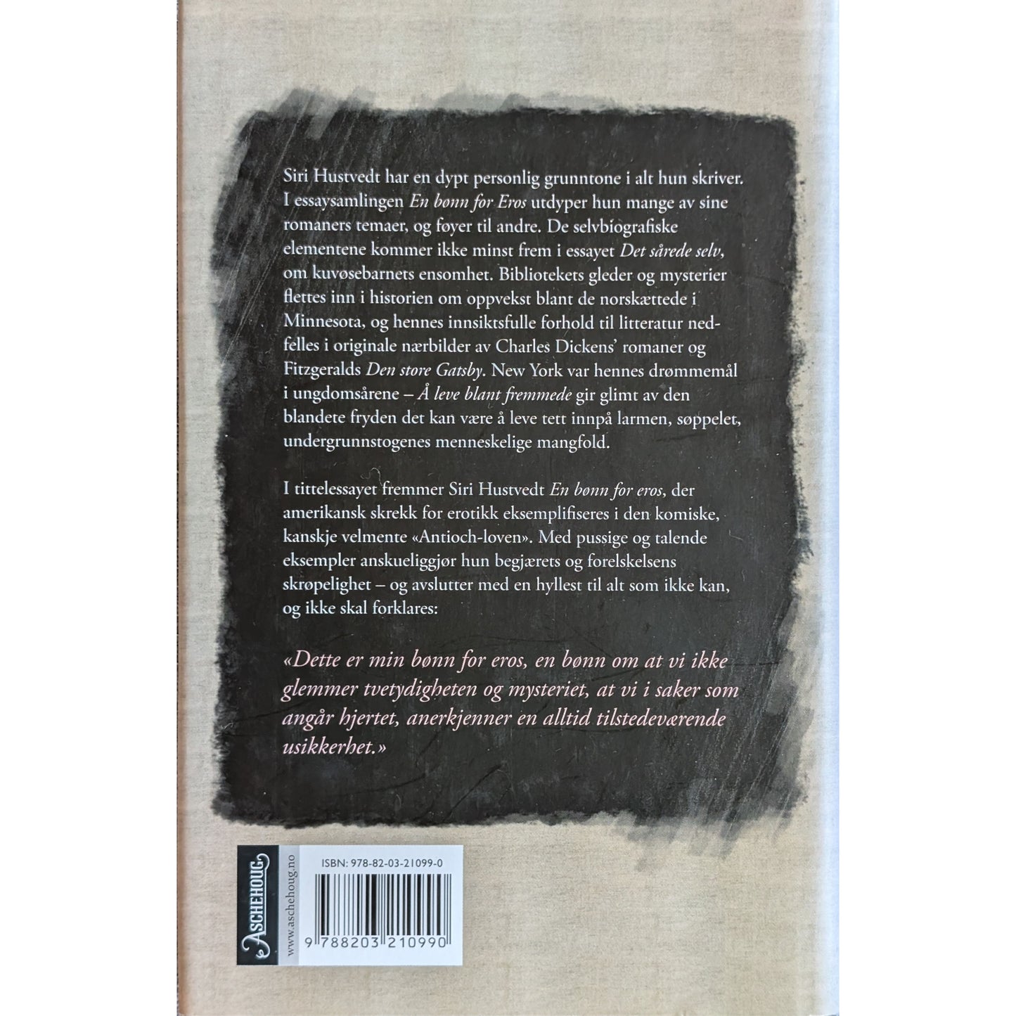 En bønn for eros. Brukte bøker av Siri Hustvedt hos Inventaret