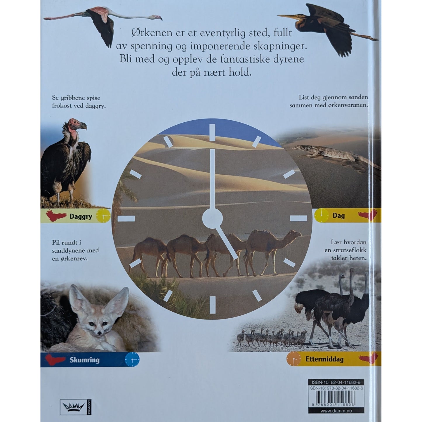 24 timer i ørkenen. Døgnet rundt med dyrene i ørkenen. Brukte faktabøker.