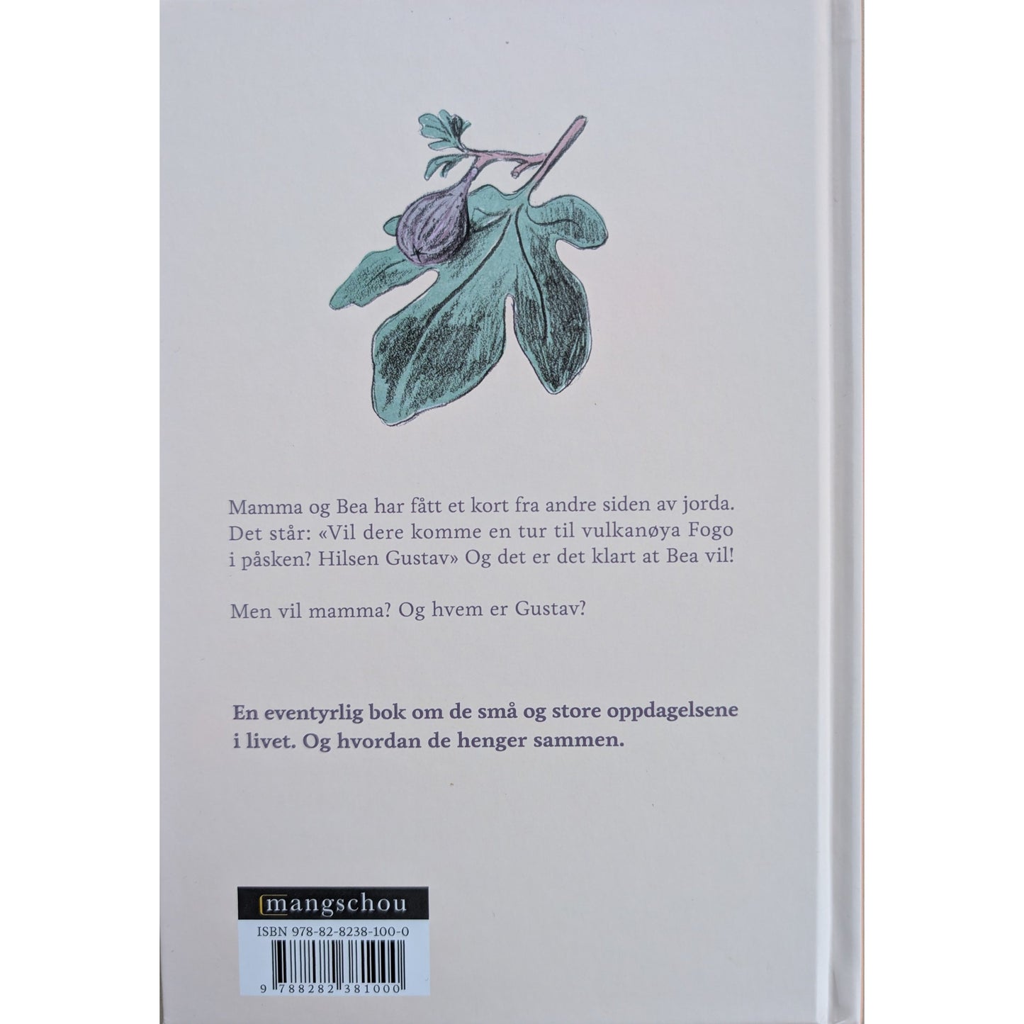 Fikenvulkanen. Barnebok av Birgitta Nilsson og Åshild Irgens