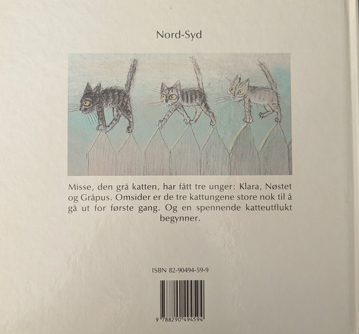 Katteutflukten. Brukte bøker av Piotr Wilkón i Nord-Syd serien