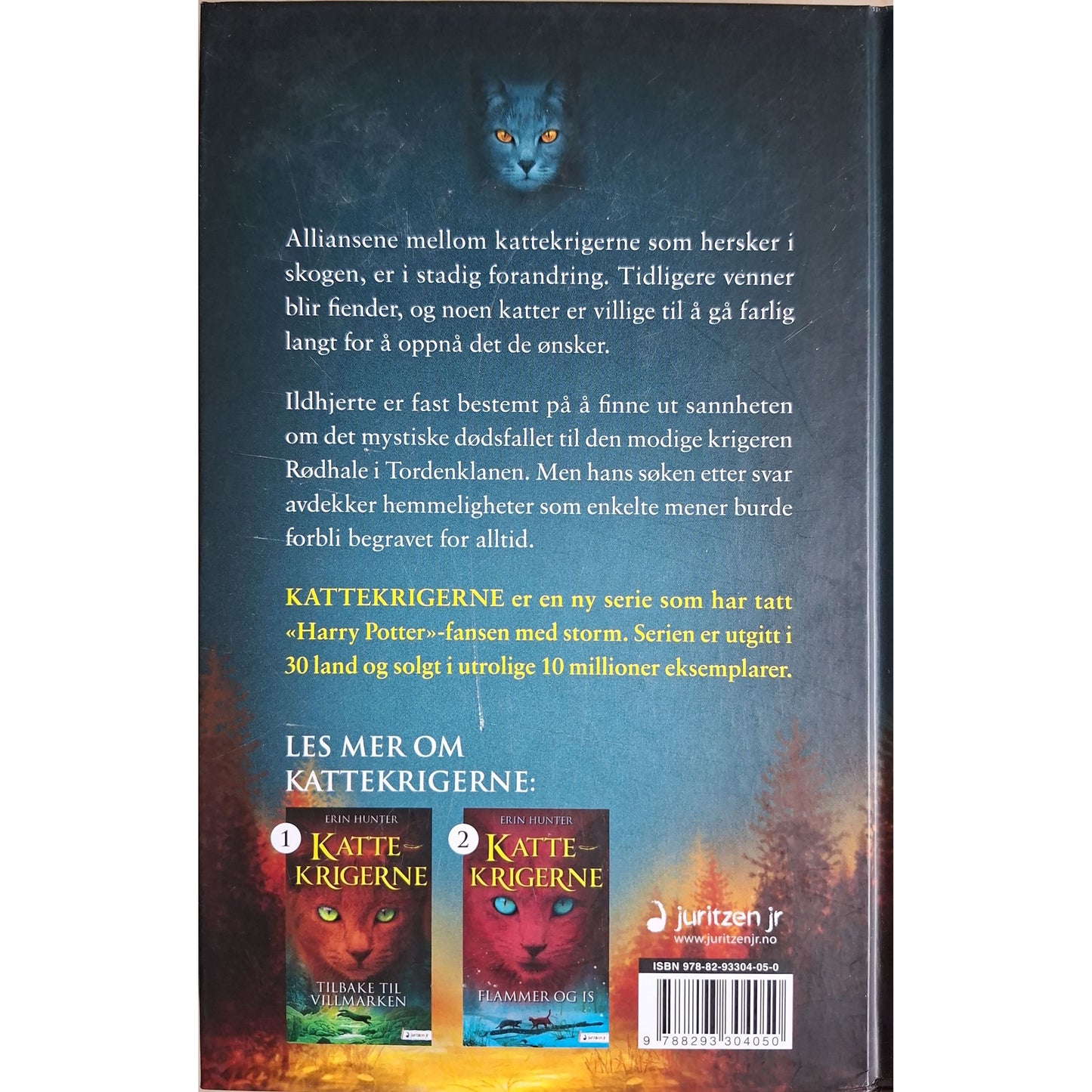 Hunter, Erin: Skogens hemmeligheter - Kattekrigerne serie 1 - bok 3