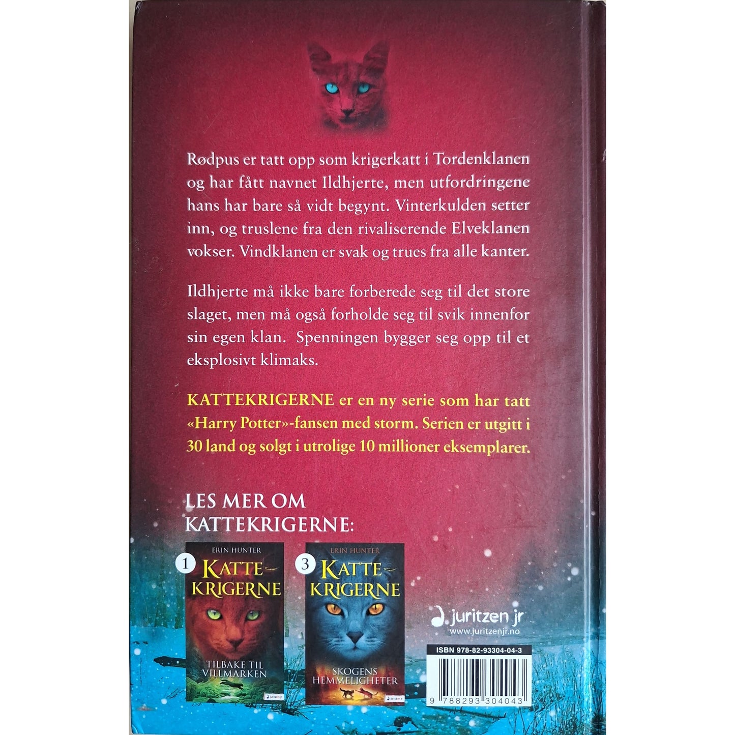Hunter, Erin: Flammer og is - Kattekrigerne serie 1 - bok 2