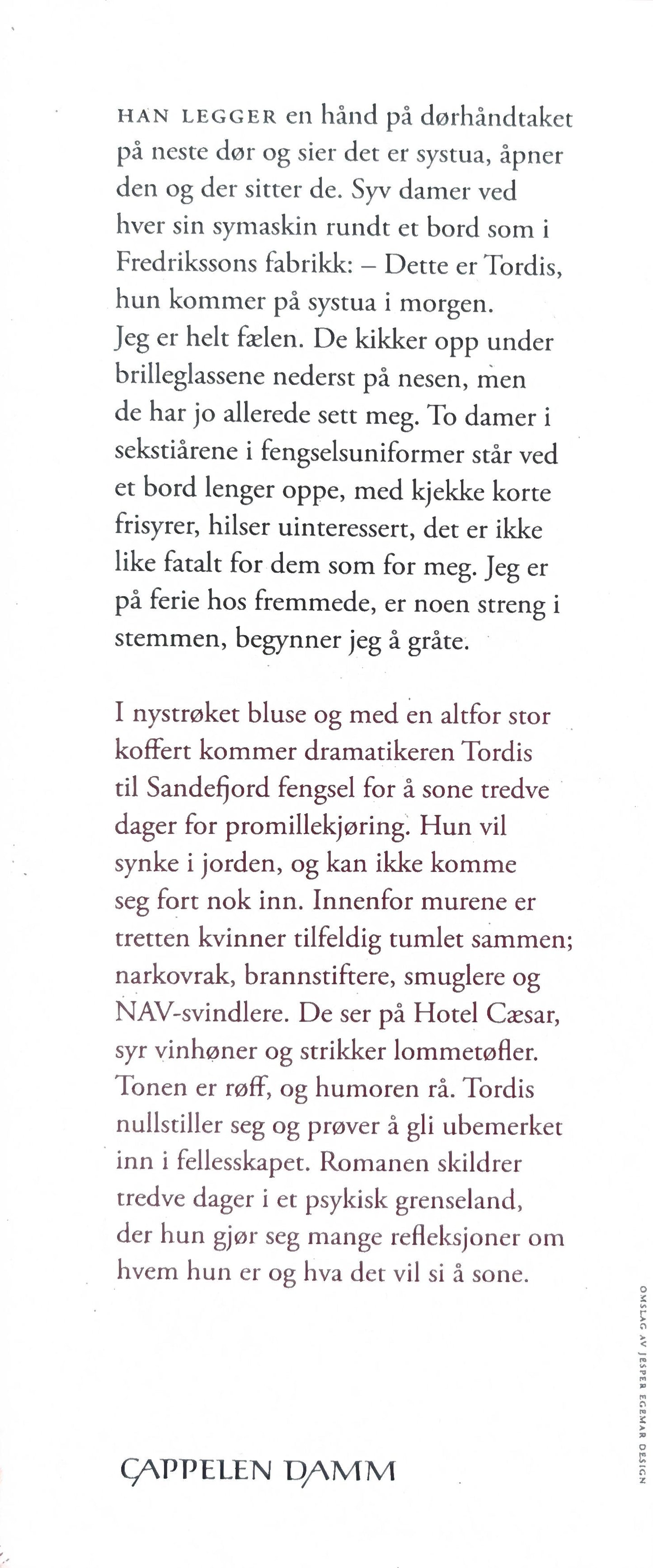 Tredve dager i Sandefjord. Brukte bøker av Vigdis Hjort