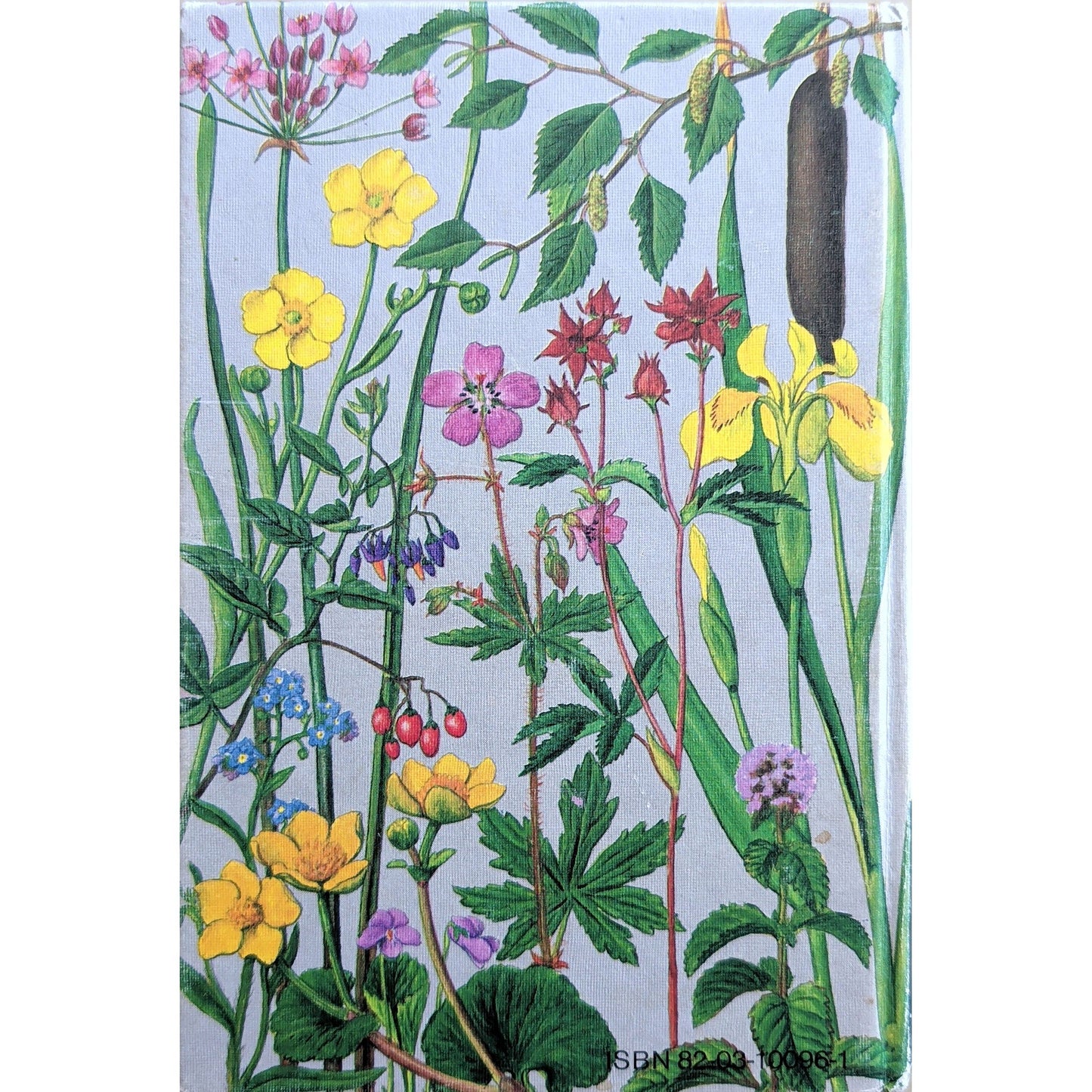 Floraen i farger (1), brukte bøker av Gunnar A. Berg. Naturen i farger
