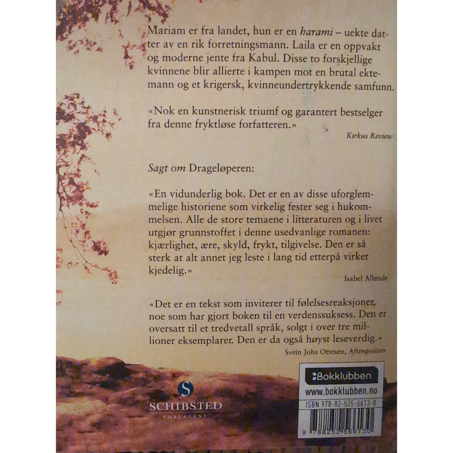 Hosseini, Khaled: Tusen strålende soler