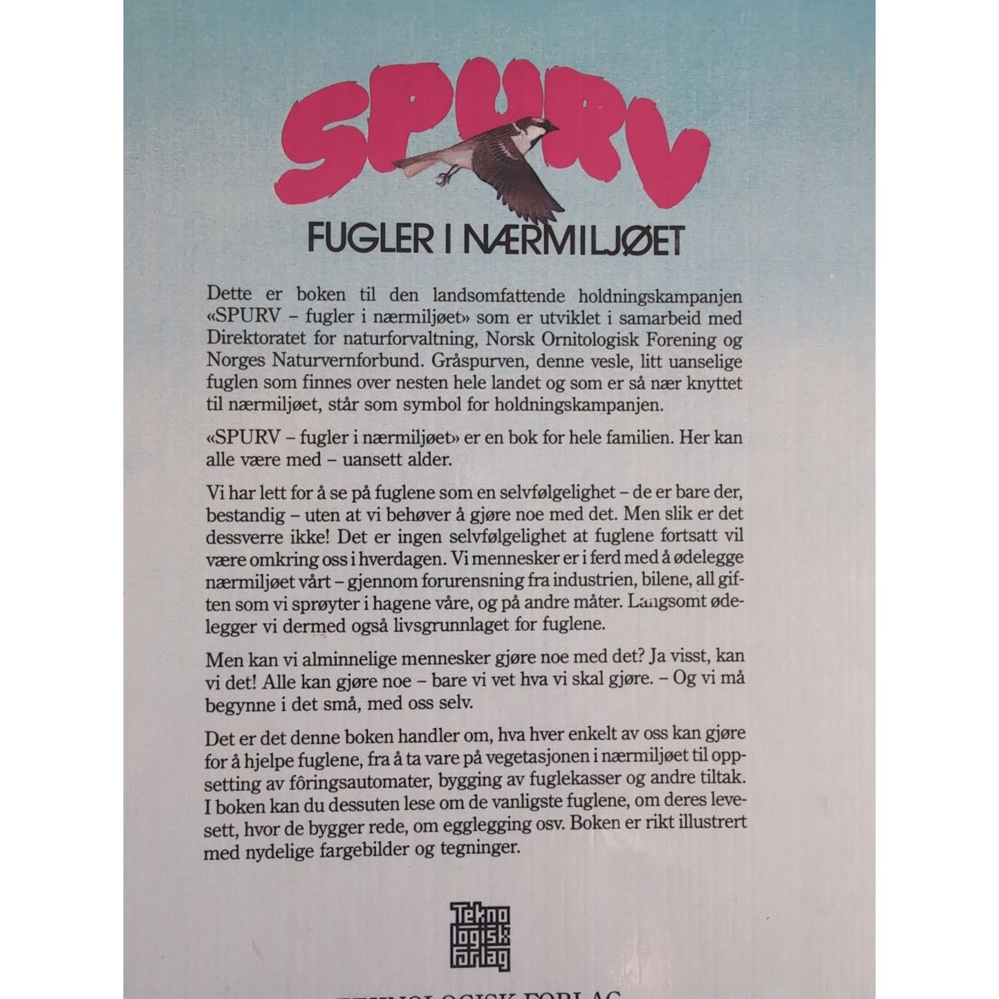 Spurv - fugler i nærmiljøet