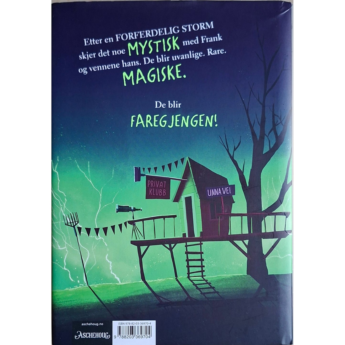 Fletcher, Tom: Faregjengen
