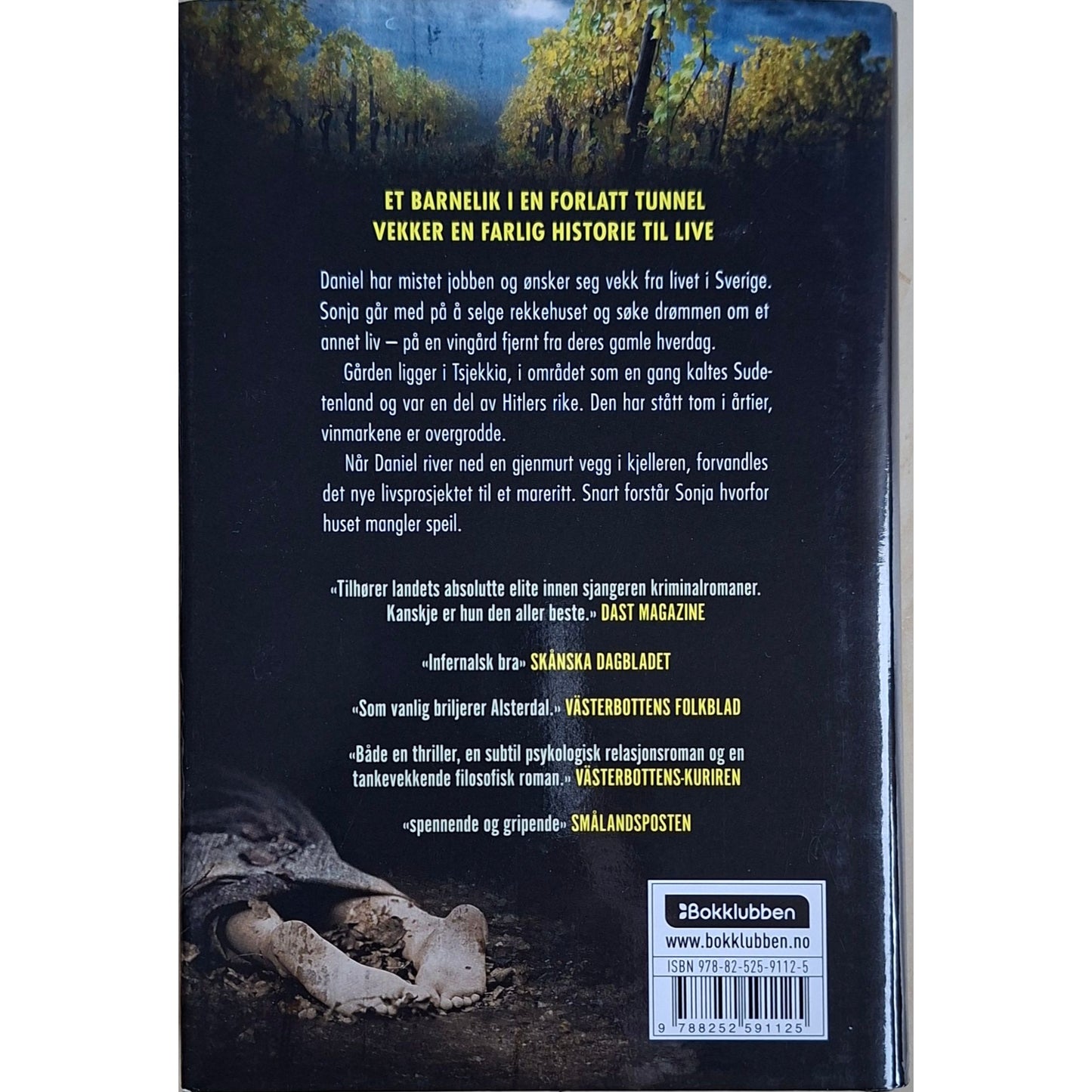 Blindtunnel. Brukte krimbøker av Tove Alsterdal hos Inventaret