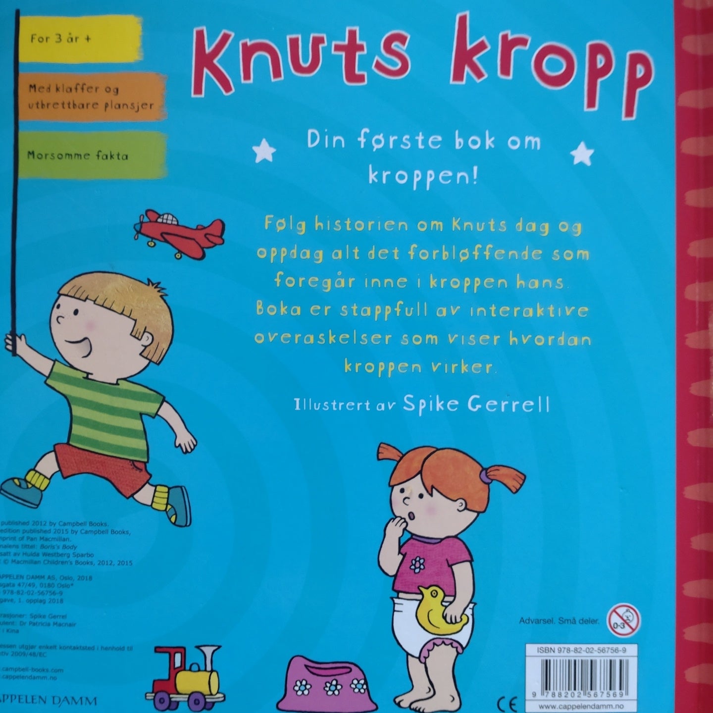 Knuts kropp
