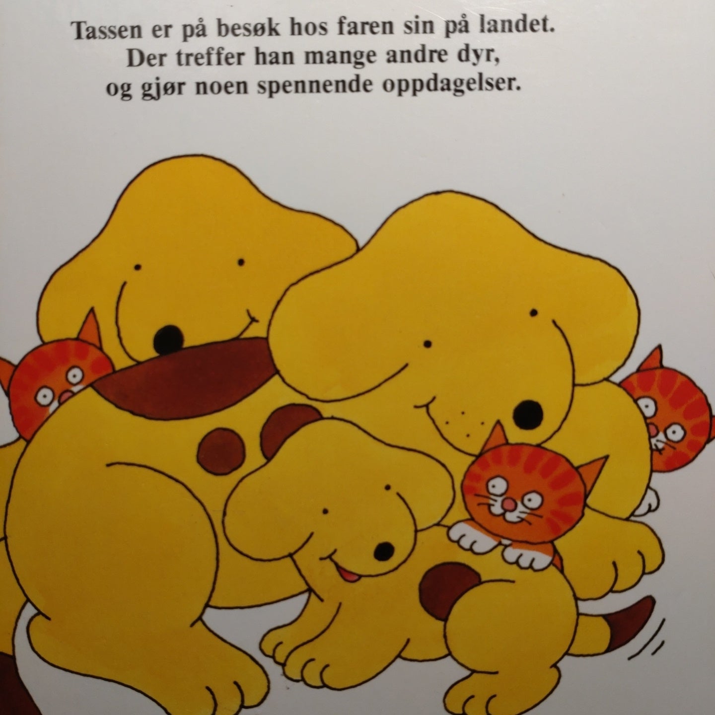 Hill, Eric: Tassen på landet
